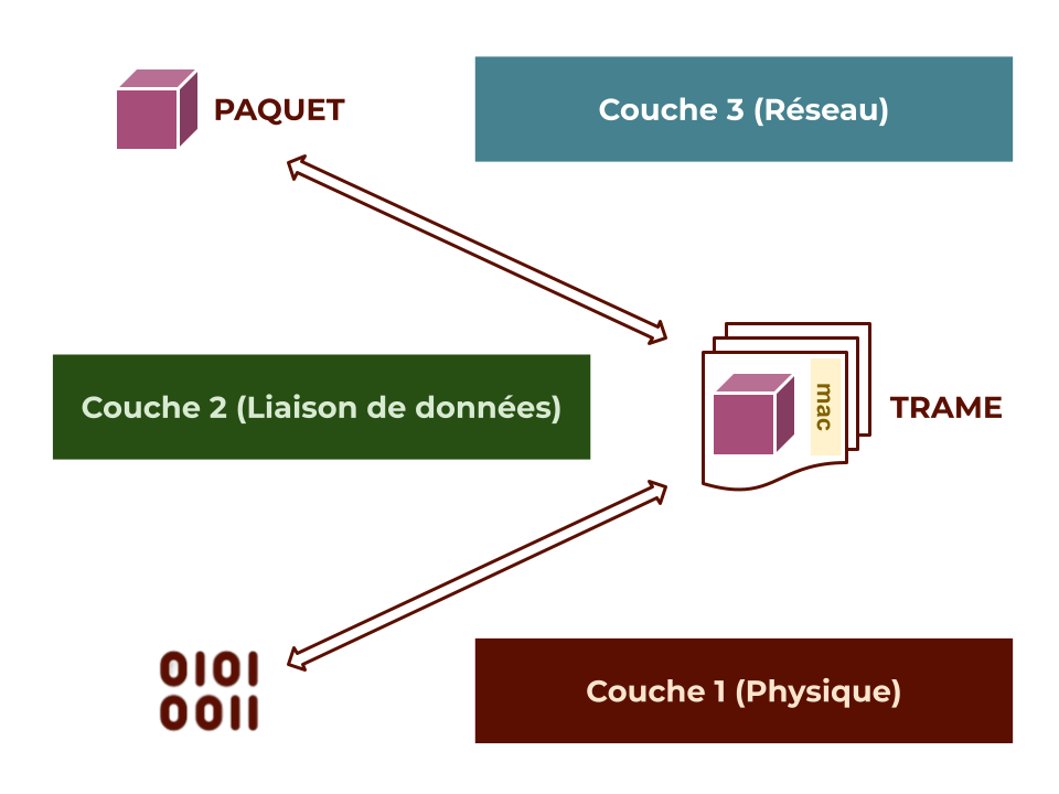 Diagramme des trois premières couches du modèle OSI avec des flèches indiquant le flux de données, depuis les bits sur la couche physique, passant par les trames sur la liaison de données, jusqu'aux paquets sur la couche réseau.